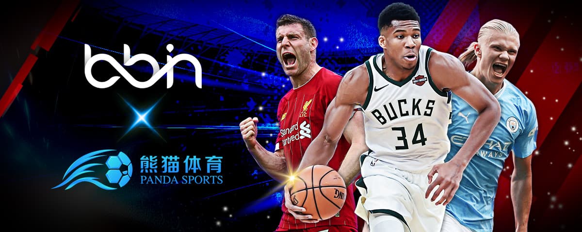 结语亮点
